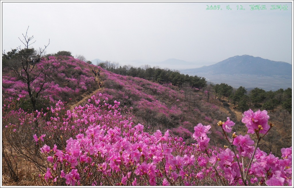 고려산 이미지
