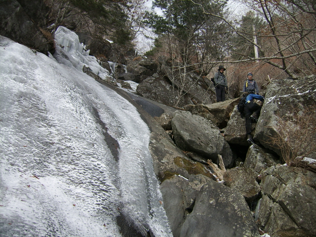 산삼애 이미지