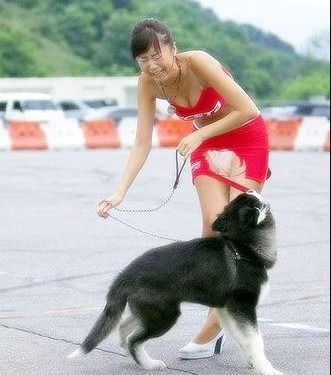 칭찬 이미지