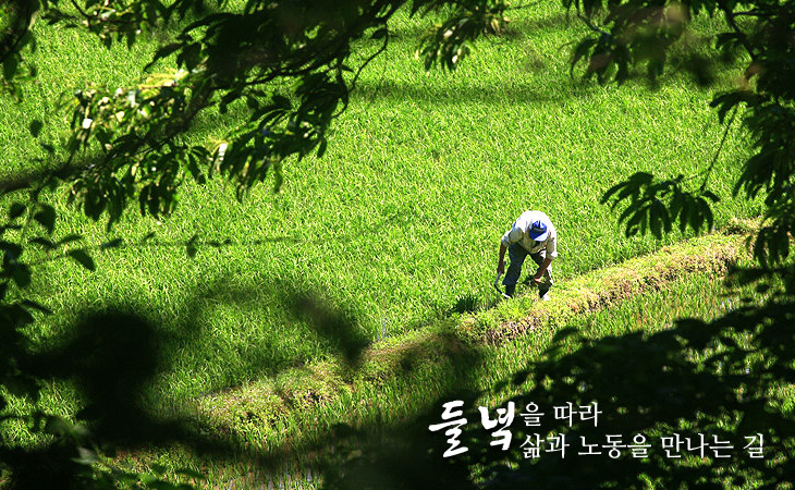 전남여인숙 이미지