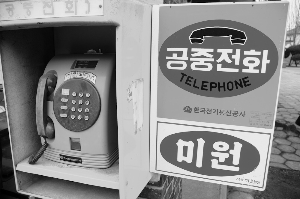 육림도 이미지