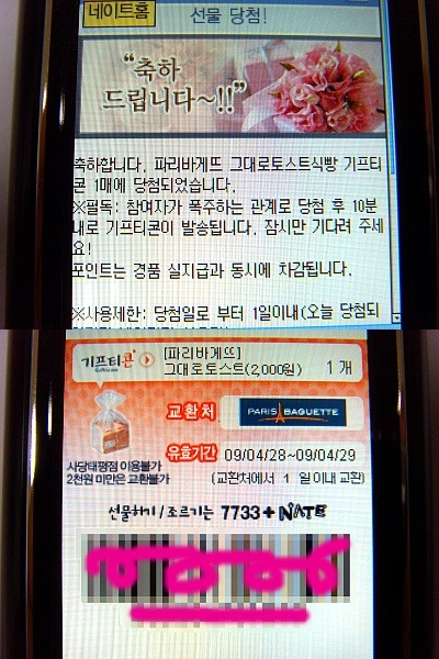 비타토스트 이미지