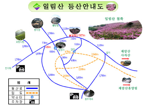 오르리 이미지