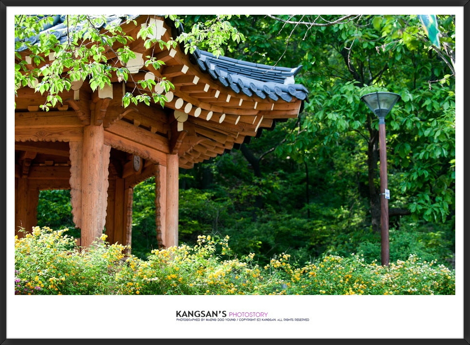 한주동안 이미지