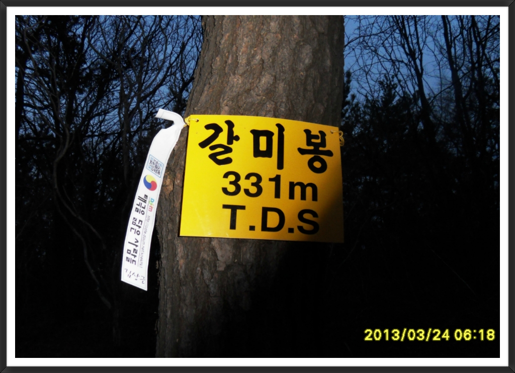 돌산커피 이미지