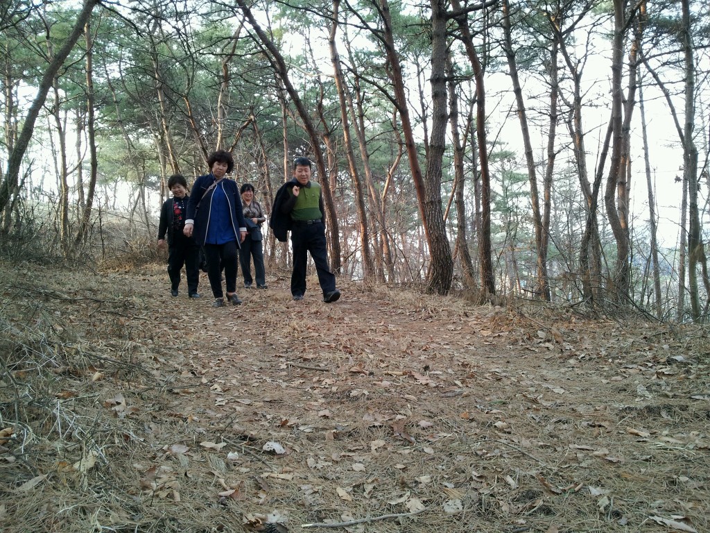 치악산송어횟집 이미지