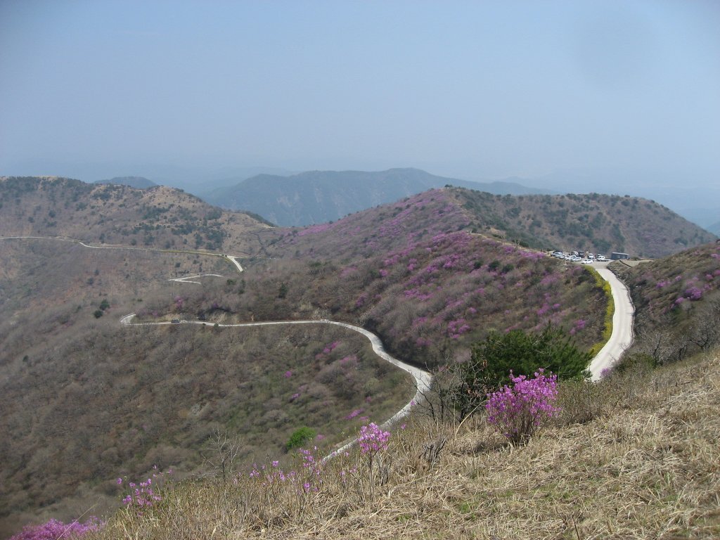 찰비관광농원 이미지