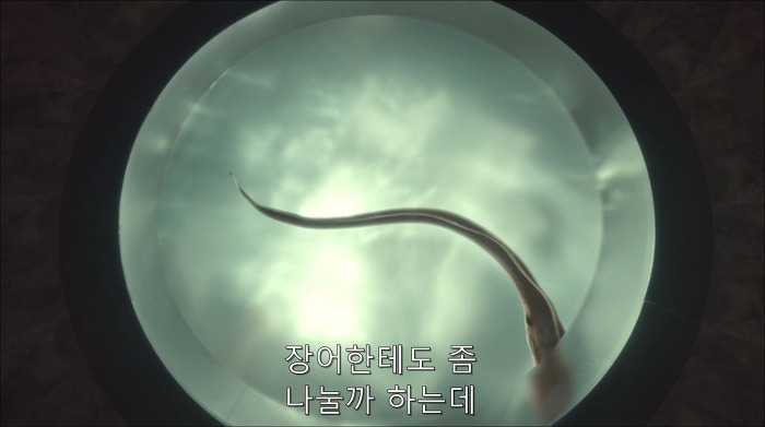[로맨틱스릴러미드] 한니발 (Hannibal) 시즌3 에피7 (2/4) | 인스티즈