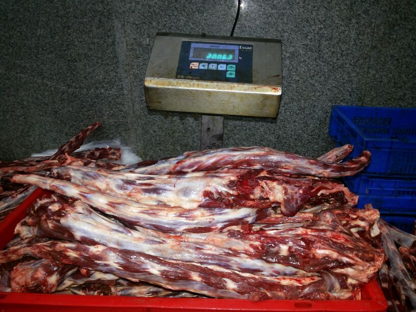 버팔로 이미지
