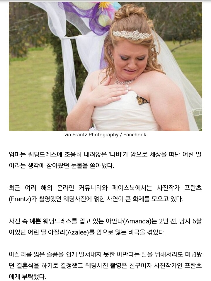 딸 떠나보낸 엄마의 웨딩드레스에 내려앉은 나비 | 인스티즈