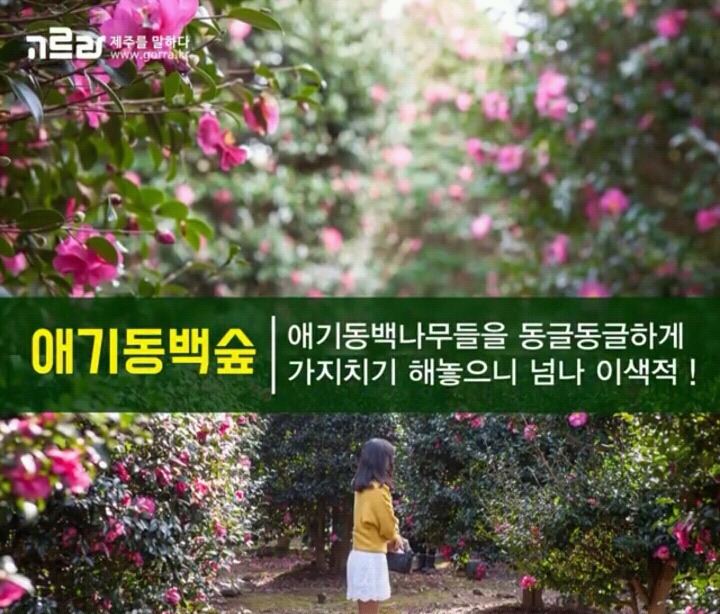 제주 겨울 여행지 12.jpg | 인스티즈