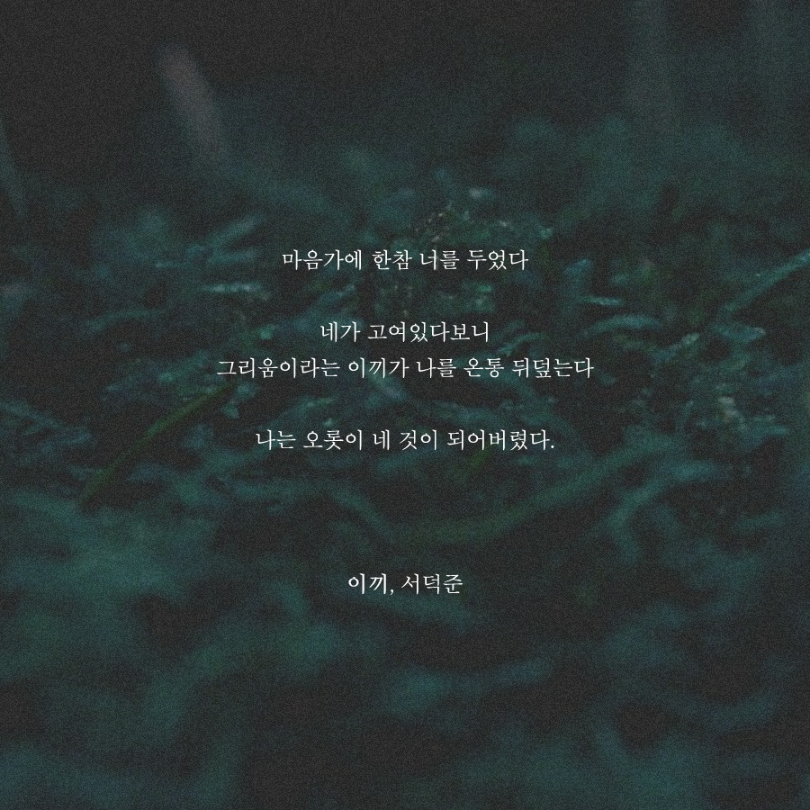 프로필사진 하기 좋은 예쁜 시 이미지 모음.jpg | 인스티즈