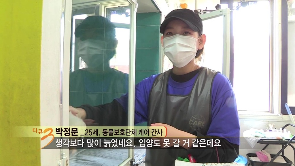 다큐 3일 보면서 안타까웠던 강아지..ㅠㅠ | 인스티즈
