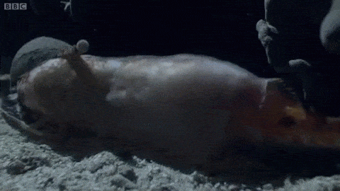 청자고동 | 인스티즈