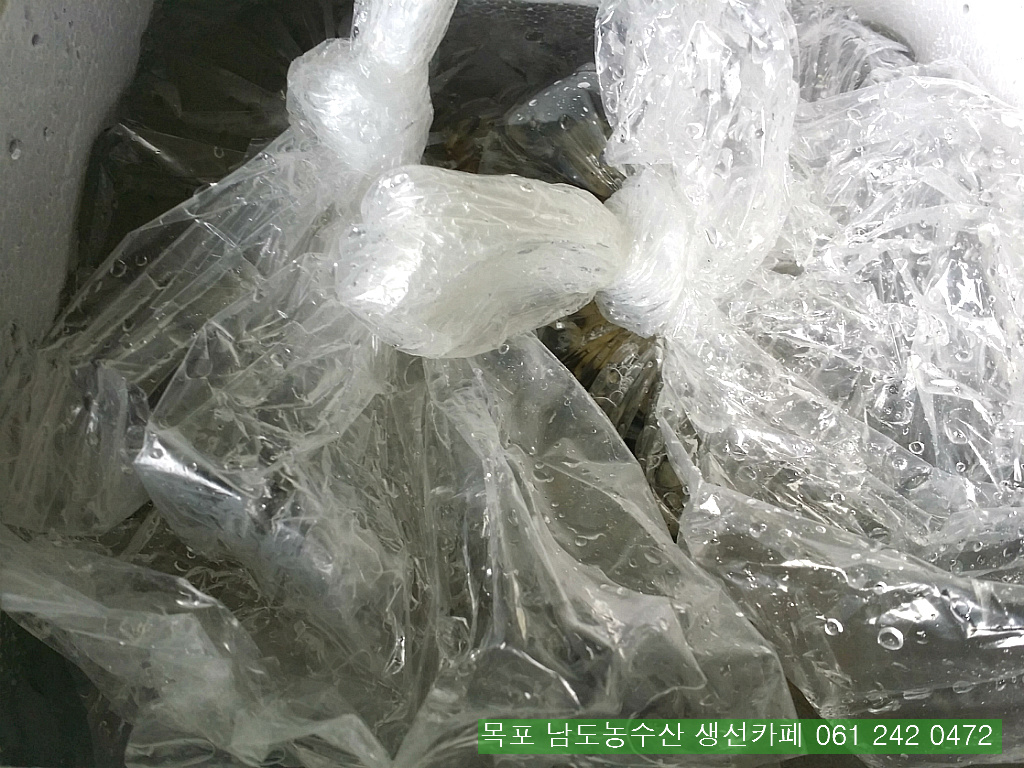 금당롯지 이미지