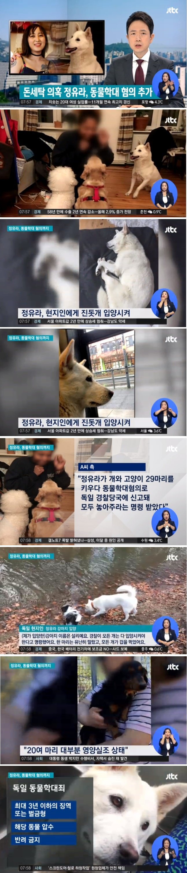 정유라가 키우던 개 20여마리 대부분 영양실조 상태.jpg | 인스티즈