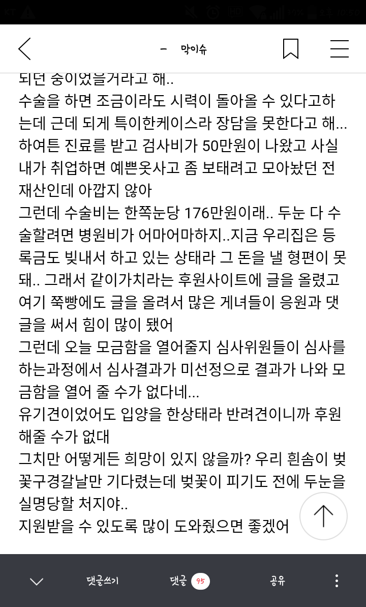 유기견이었던 우리 흰솜이가 두눈 실명위기에 처해있어 욕먹을 각오하고 글 올려.. | 인스티즈