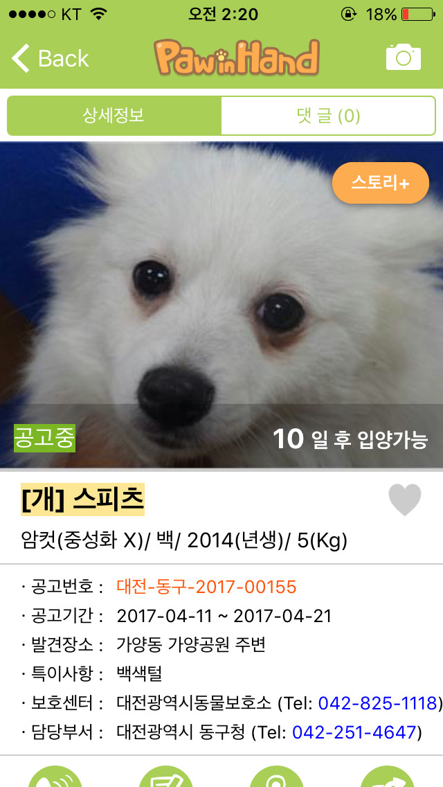 반려동물 키워보고 싶은 사람들에게 추천하는 어플 | 인스티즈