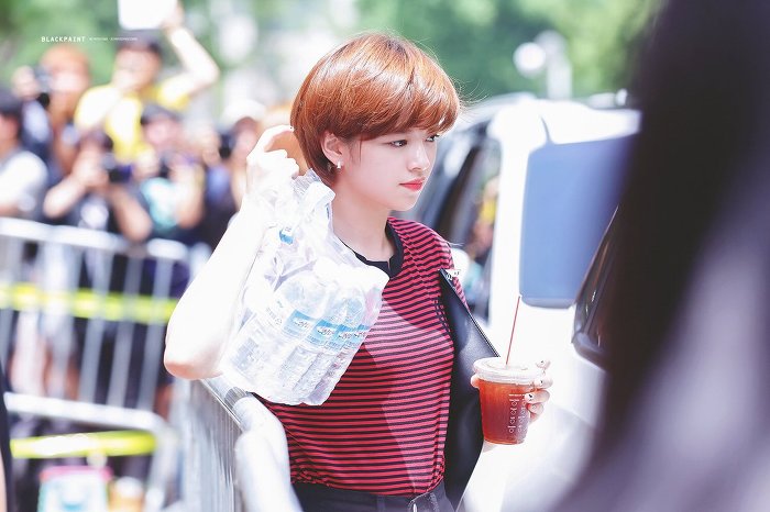 트와이스 정연 | 인스티즈