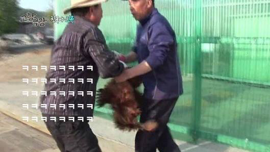 진정한 친구란 | 인스티즈