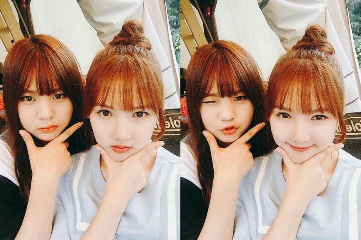 참와이 이미지