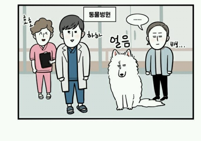 대형견 키우는 사람 공감 | 인스티즈
