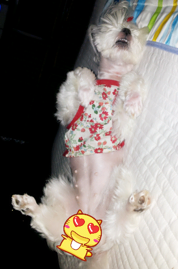 버르장머리 이미지
