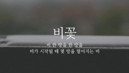  우리말로 된 예쁜 비이름 | 인스티즈
