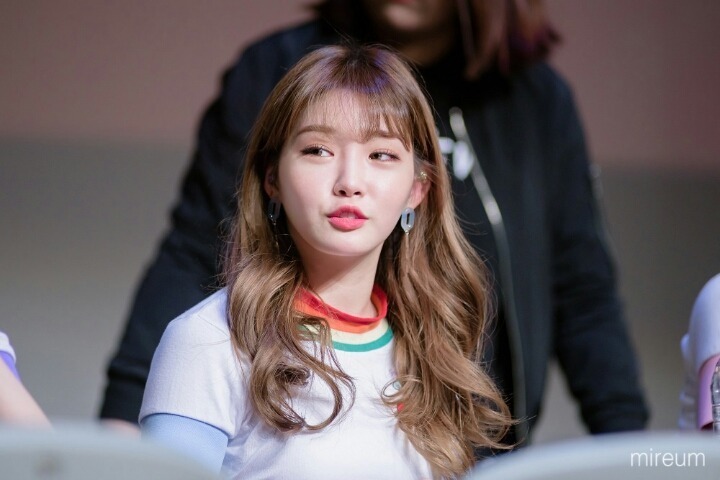 술시 이미지