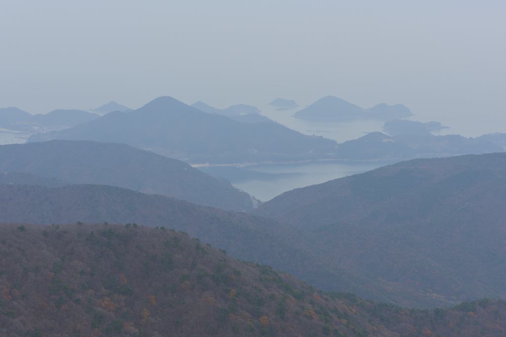 남해의 숲 이미지