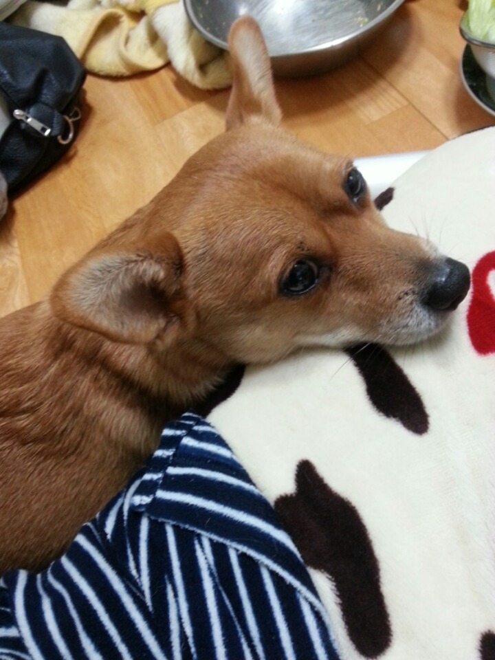 밍구네일 이미지