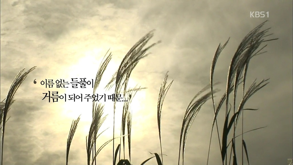 역사적으로 나라를 위해 싸우는게 미친짓인 이유 | 인스티즈