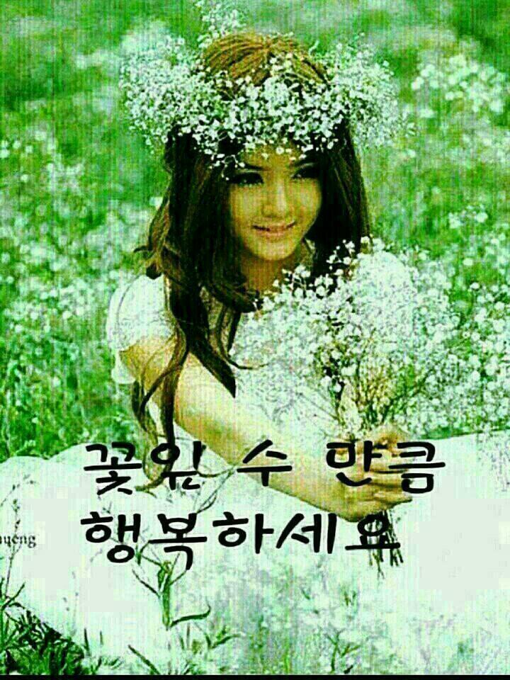 율 이미지
