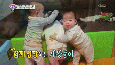 [슈퍼맨이돌아왔다] 보면 볼수록 신기한 각자 개성이 완전 뚜렷한 삼둥이.jpgif | 인스티즈