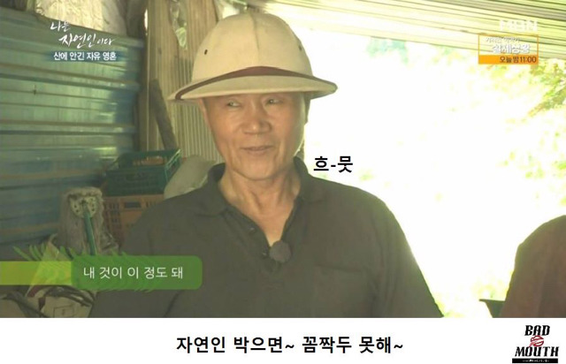 말벌 이후 레전드 경신한 나는 자연인이다 ㅋㅋㅋㅋㅋㅋㅋ | 인스티즈