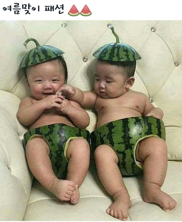 따담 이미지