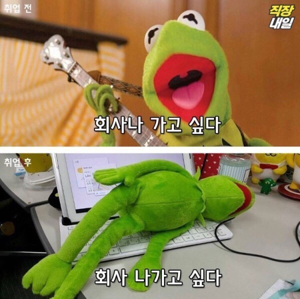 직장인이 되기 전/후 | 인스티즈
