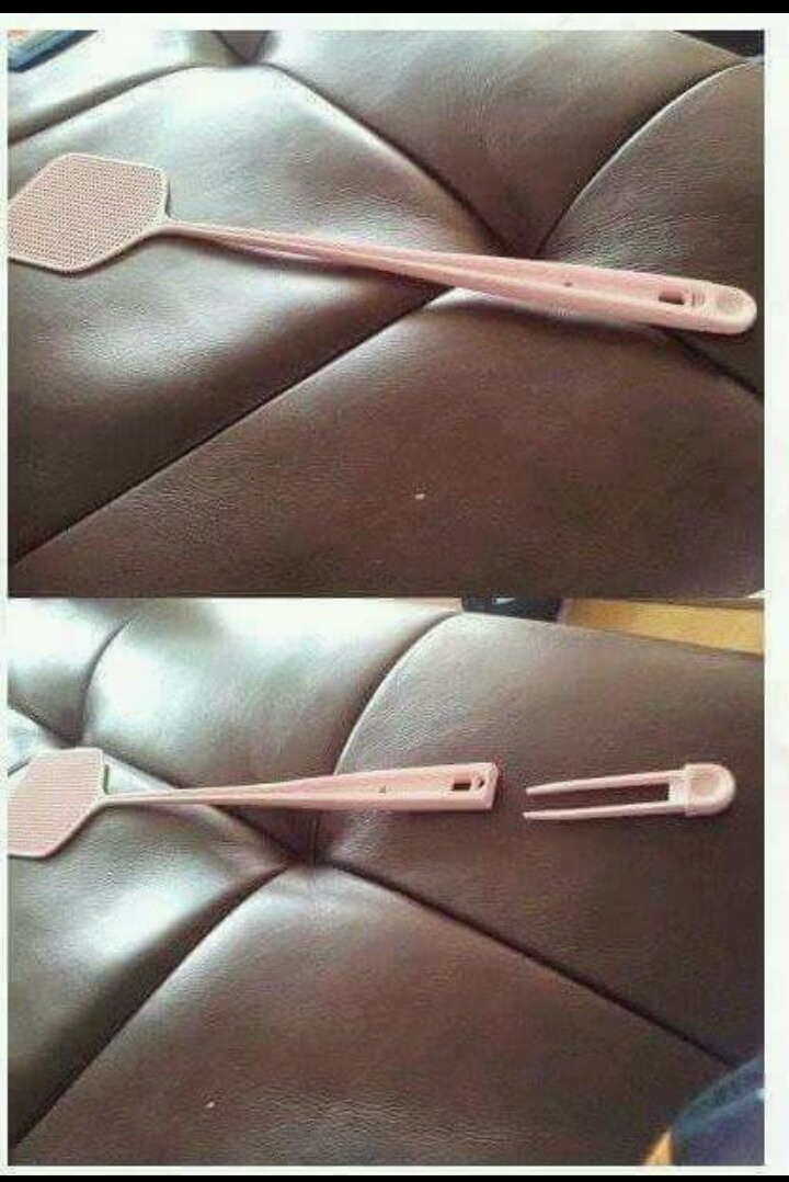 우리가 알지 못했던 파리채의 기능 | 인스티즈