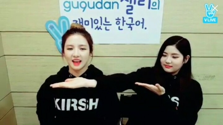 오늘자 구구단 샐리랑 막둥이 | 인스티즈