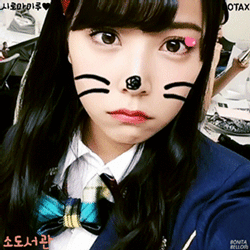 반도의 레고장인.jpg | 인스티즈