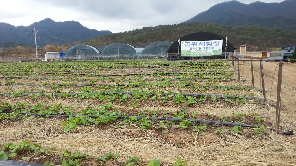보람농산 이미지