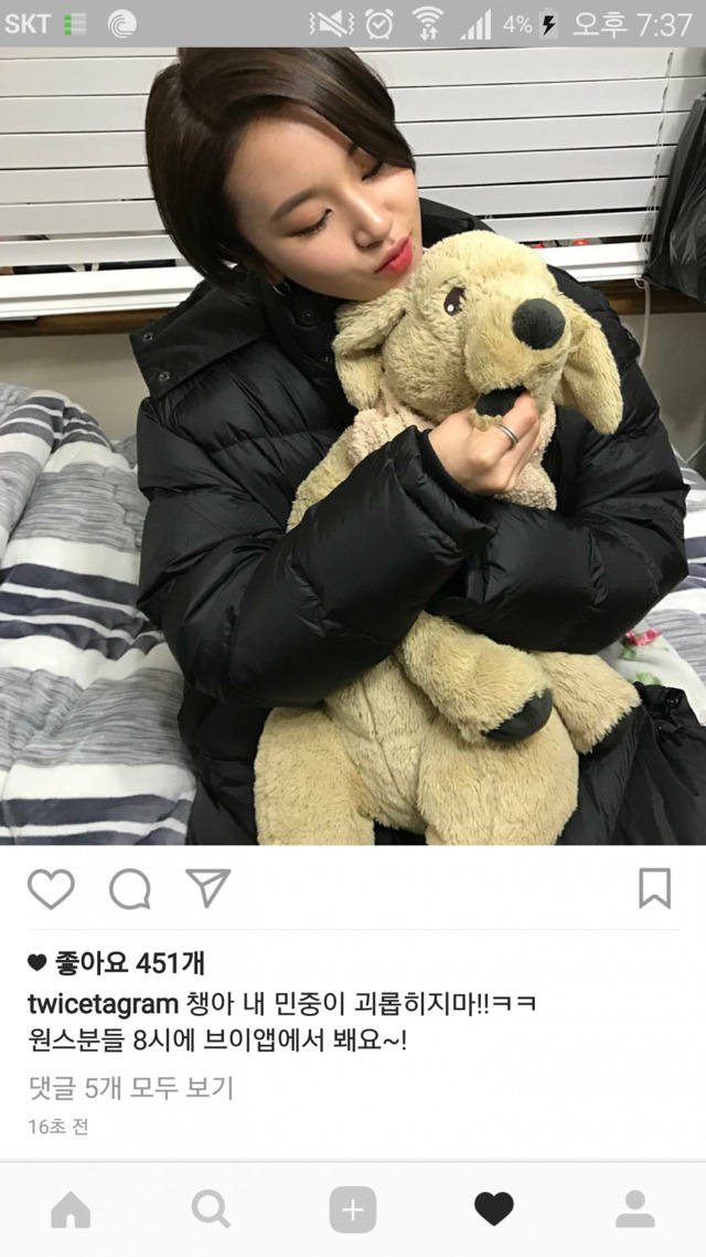 트와이스 인스타...아니라 개스타 업데이트 | 인스티즈