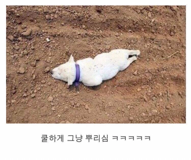 쿨하게 그냥 뿌리심 ㅋㅋㅋㅋㅋ | 인스티즈