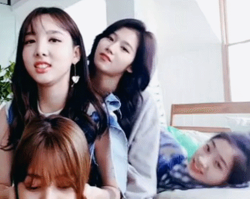 다현이 콧구멍 괴롭히는 사나 | 인스티즈