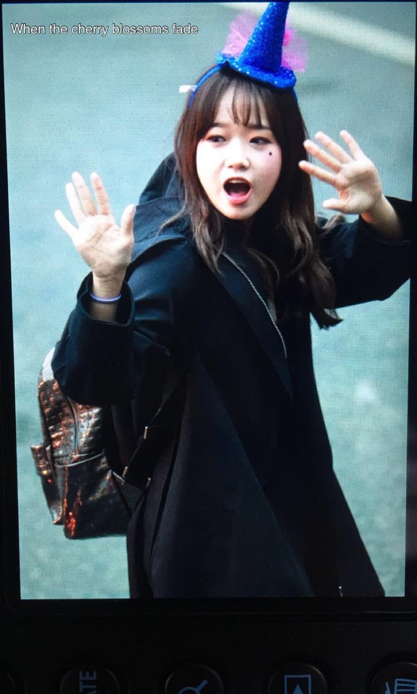 ioi 할로윈때 졸 커여웠떤 뮤뱅 출근 아이오아이 최유정 (I.O.I) | 인스티즈