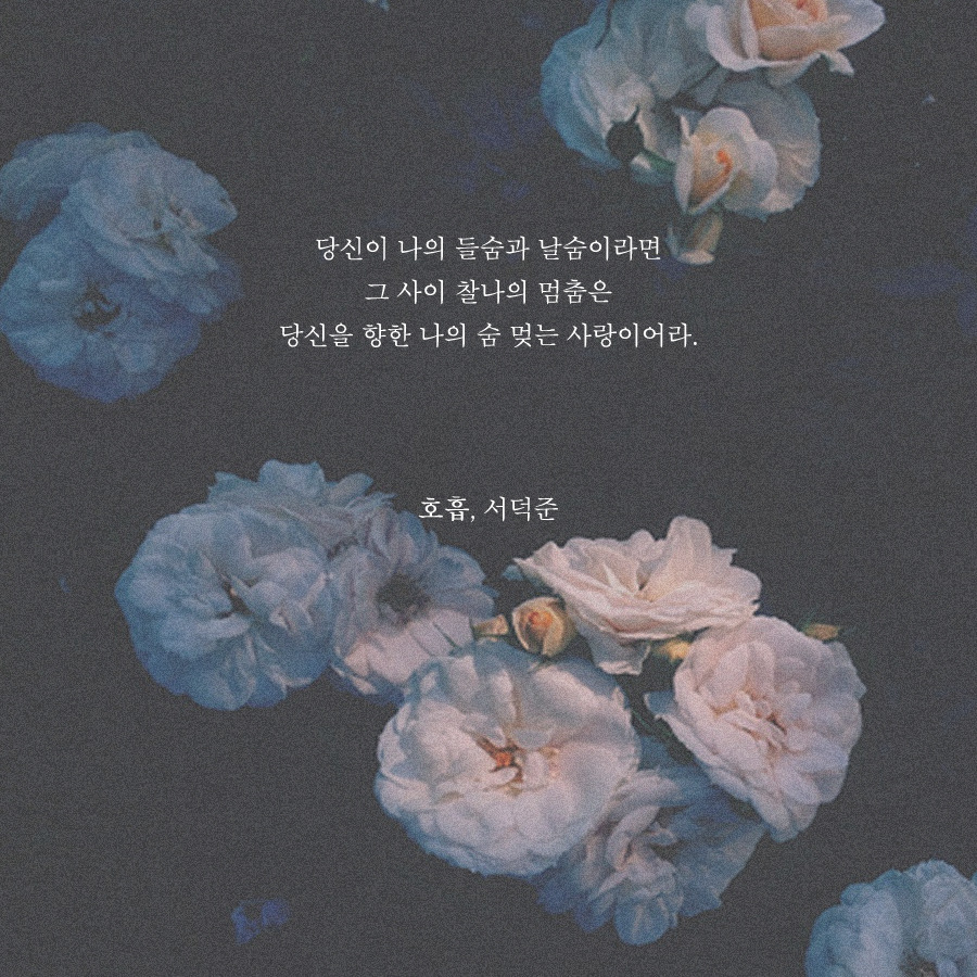 프로필사진 하기 좋은 예쁜 시 이미지 모음.jpg | 인스티즈