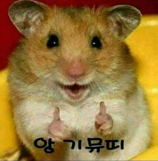 빨강 이미지