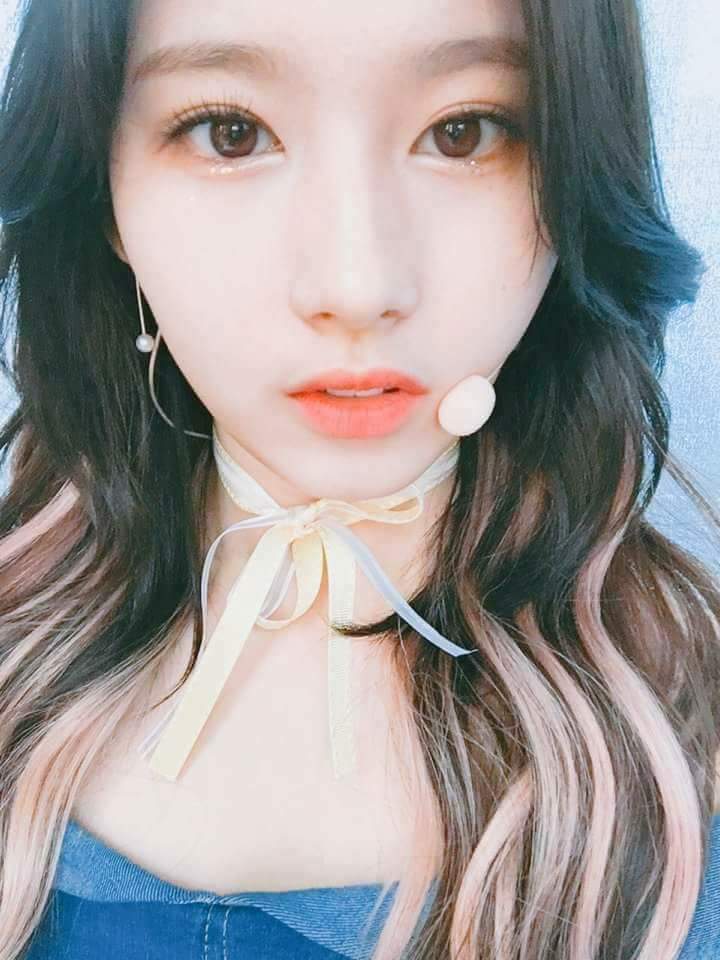 정연이 사나 | 인스티즈