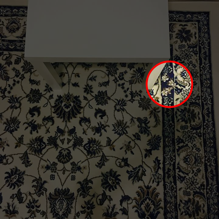 전 세계인들을 눈뜬장님으로 만든 사진 한 장 | 인스티즈