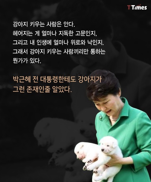 박근혜를 거쳐 간 강아지들 스토리 | 인스티즈
